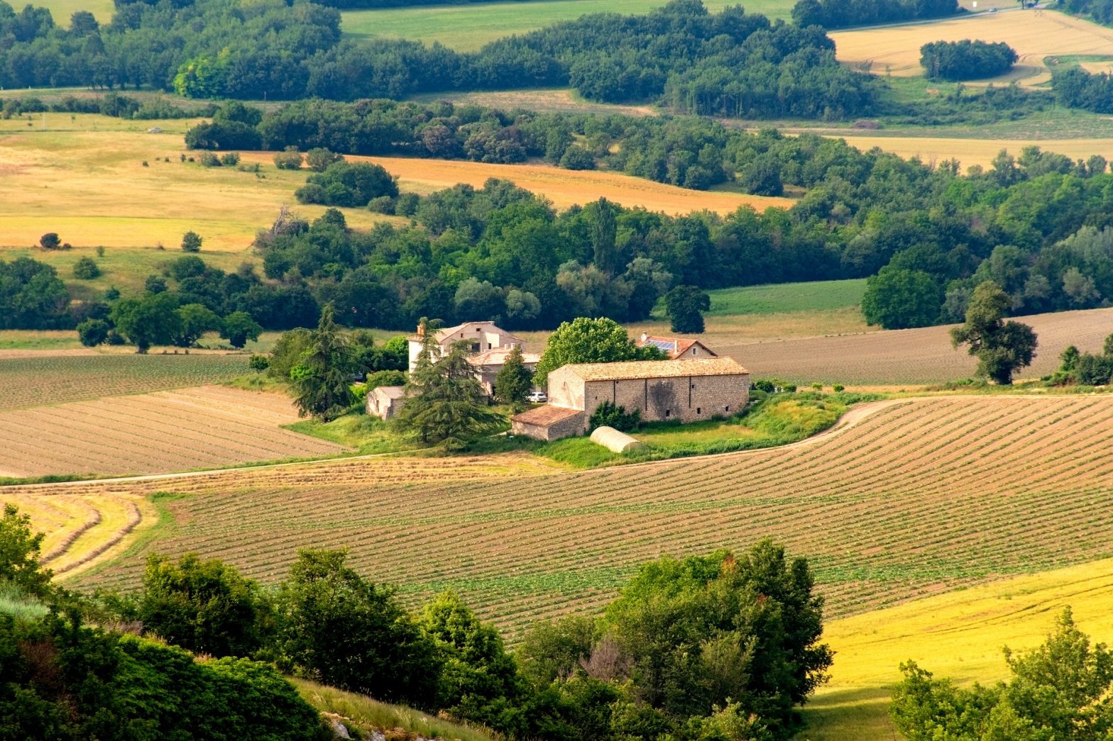 La culture française
